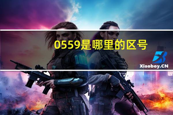 0559是哪里的区号