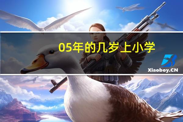 05年的几岁上小学