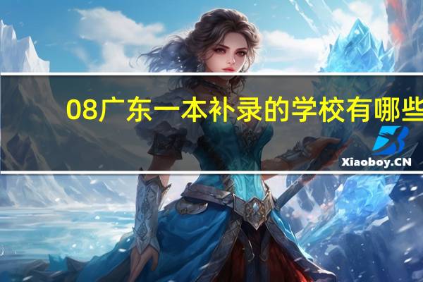 08广东一本补录的学校有哪些