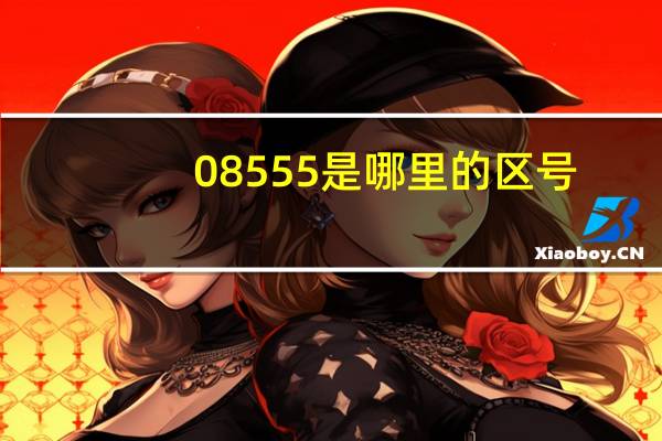 08555是哪里的区号