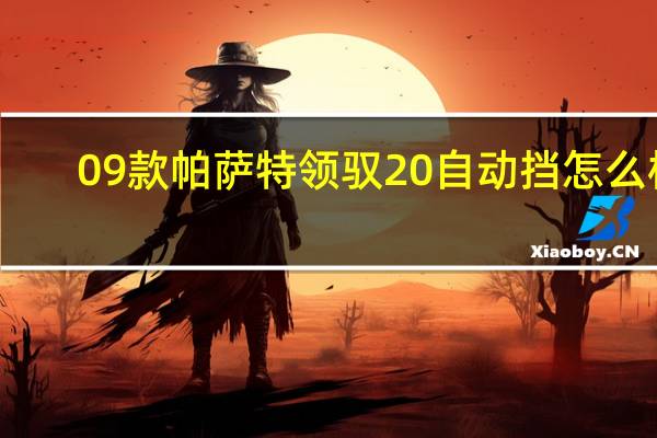 09款帕萨特领驭20自动挡怎么样