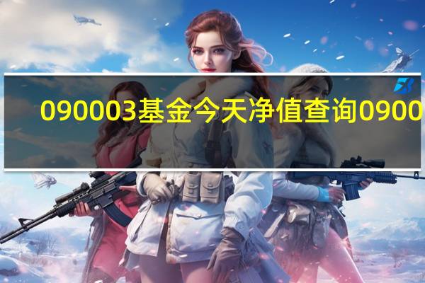090003基金今天净值查询090006
