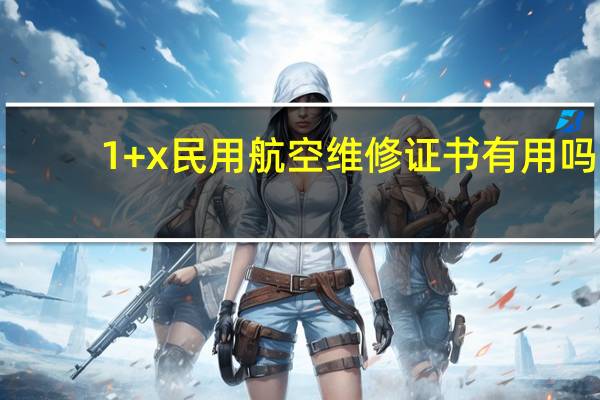 1+ x民用航空维修证书有用吗