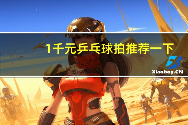 1千元乒乓球拍推荐一下