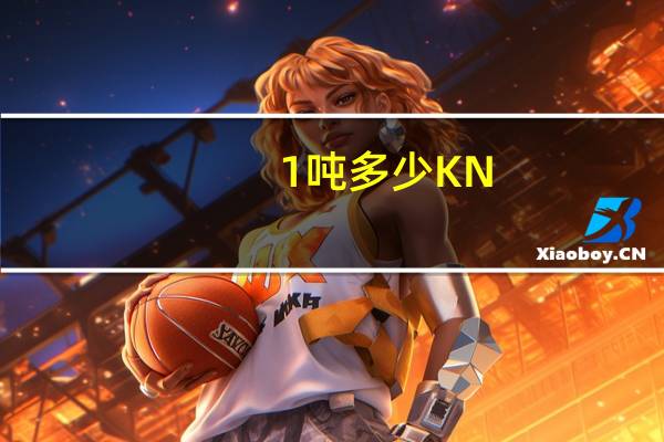 1吨多少KN