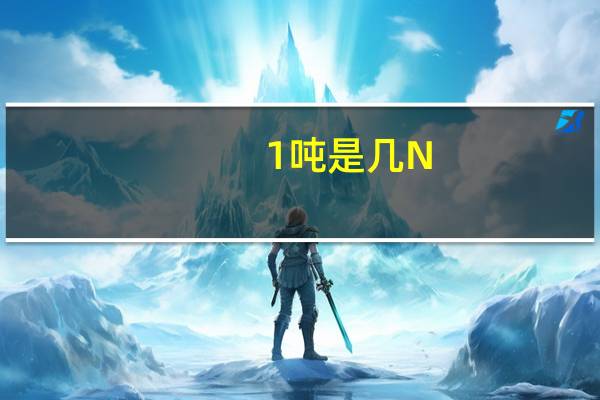 1吨是几N