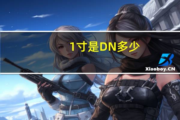 1寸是DN多少
