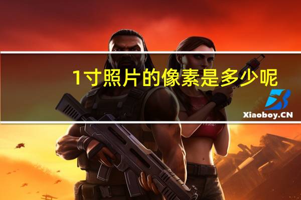 1寸照片的像素是多少呢