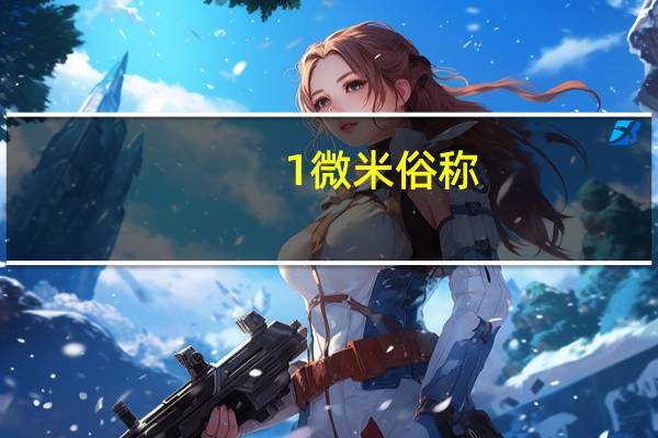 1微米俗称