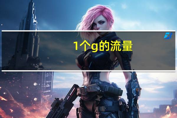 1个g的流量