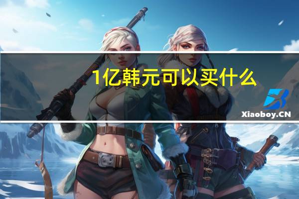 1亿韩元可以买什么