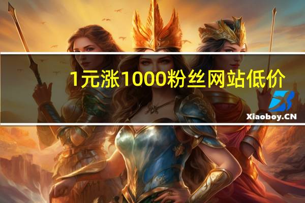 1元涨1000粉丝网站低价 - 卡盟免费