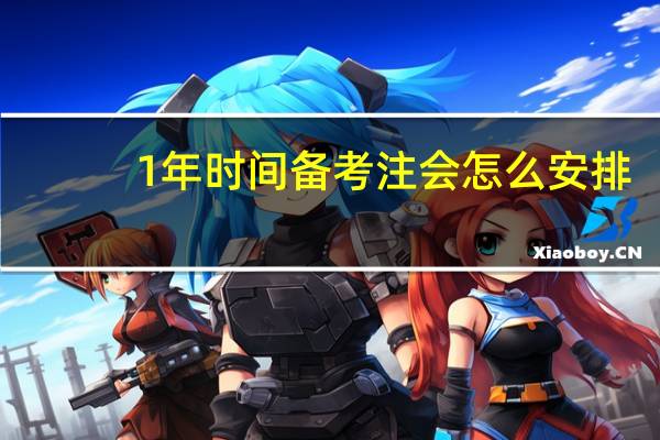 1年时间备考注会怎么安排