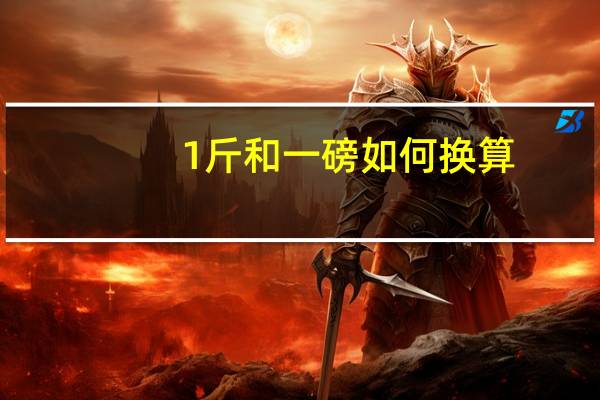 1斤和一磅如何换算