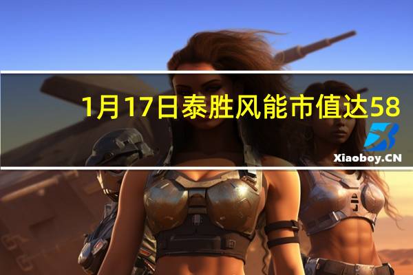 1月17日泰胜风能市值达58.97亿，股票市盈率16.91
