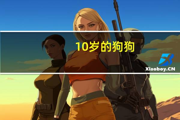 10岁的狗狗