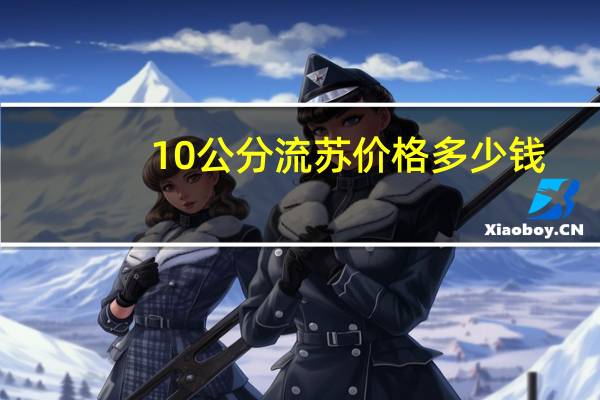 10公分流苏价格多少钱?500～600元左右
