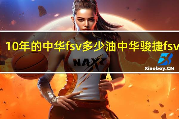 10年的中华fsv多少油 中华骏捷fsv价格
