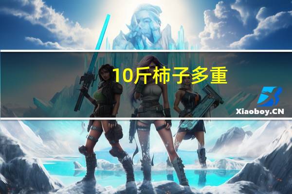 10斤柿子多重
