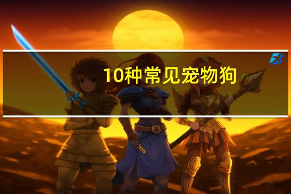 10种常见宠物狗