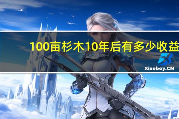 100亩杉木10年后有多少收益