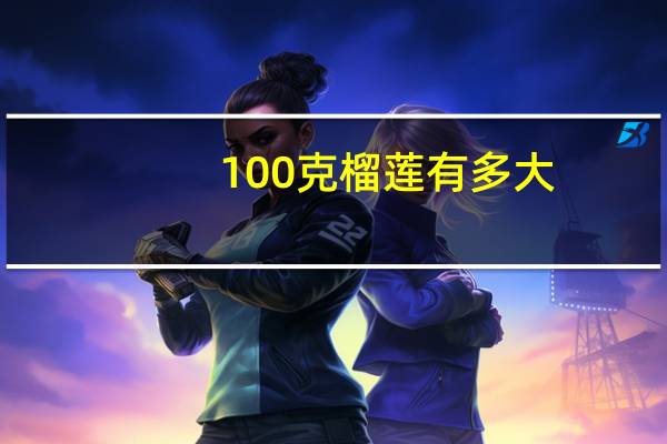 100克榴莲有多大