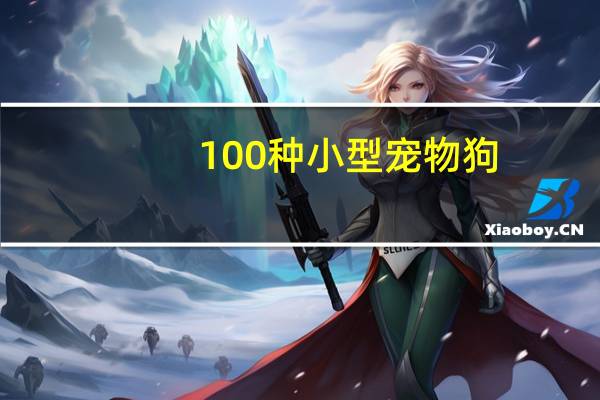 100种小型宠物狗