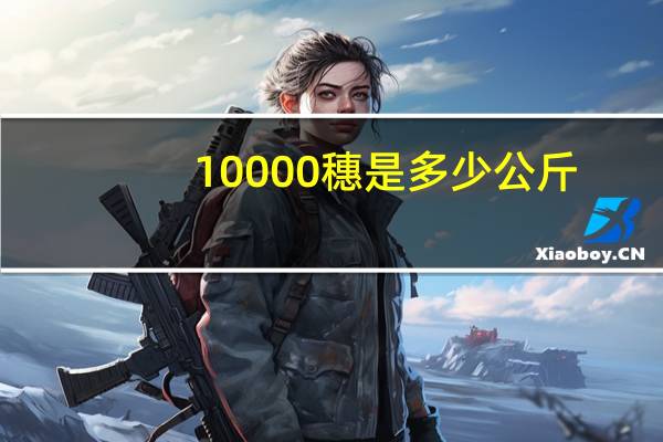 10000穗是多少公斤