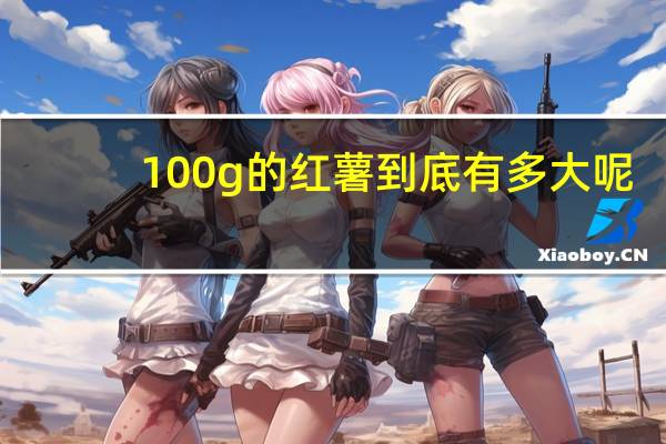 100g的红薯到底有多大呢