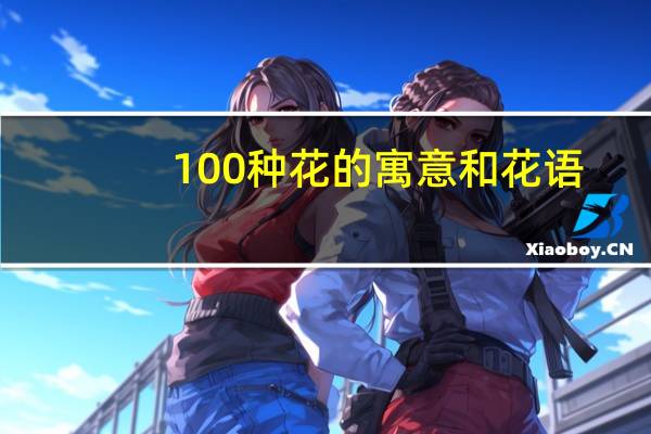 100种花的寓意和花语