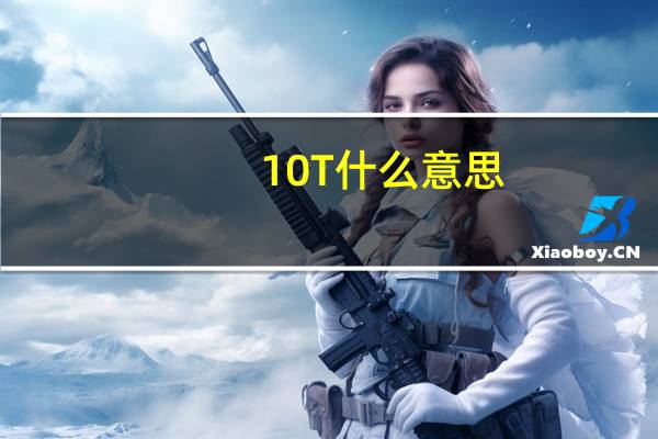 10T什么意思