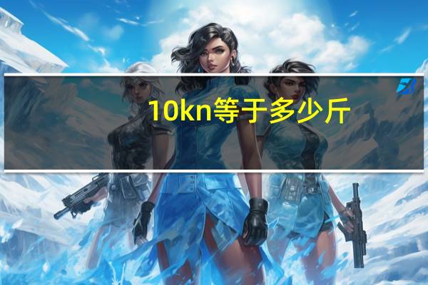 10kn等于多少斤