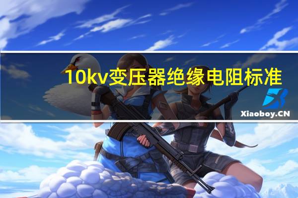10kv变压器绝缘电阻标准