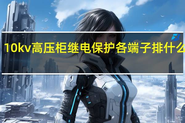 10kv高压柜继电保护各端子排什么意思