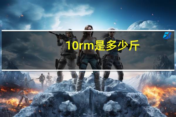 10rm是多少斤