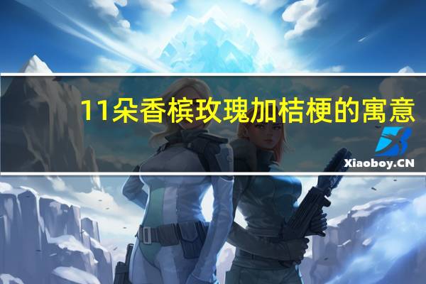 11朵香槟玫瑰加桔梗的寓意