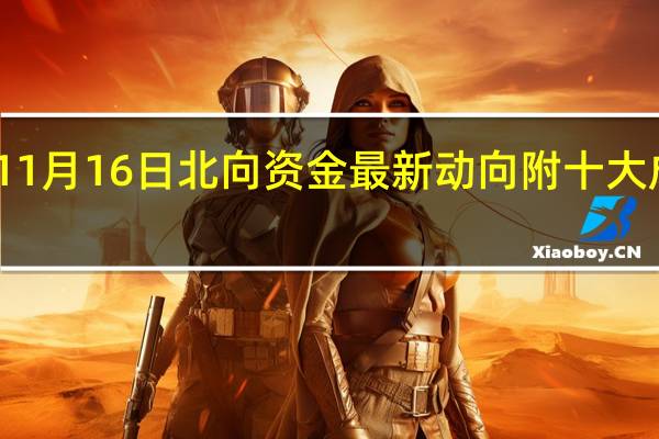 11月16日北向资金最新动向 附十大成交股