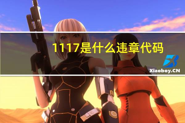 1117是什么违章代码