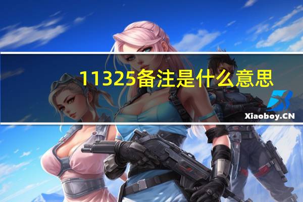11325备注是什么意思