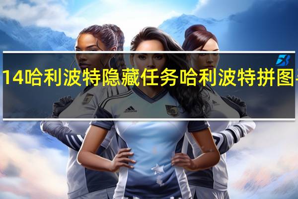114 哈利波特隐藏任务 哈利波特拼图寻宝10.9