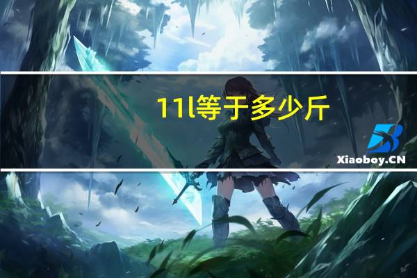 11l等于多少斤