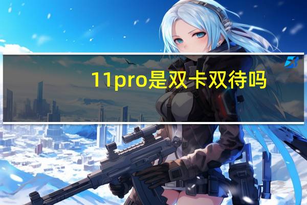 11pro是双卡双待吗