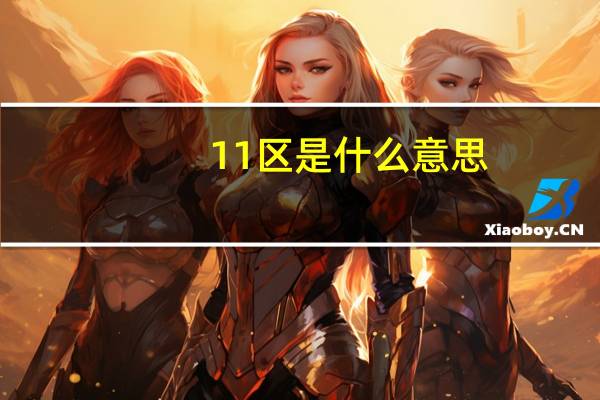 11区是什么意思
