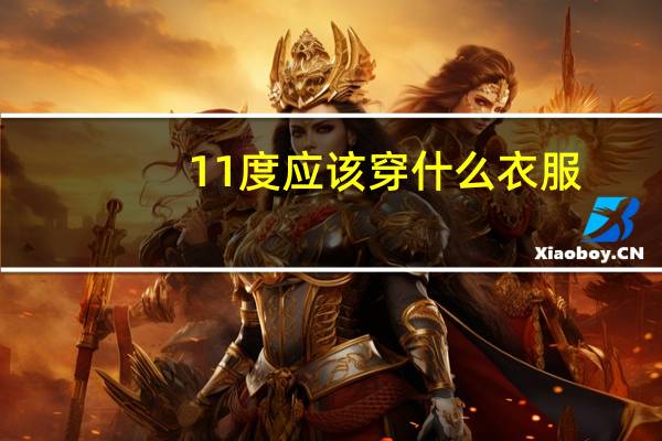 11度应该穿什么衣服