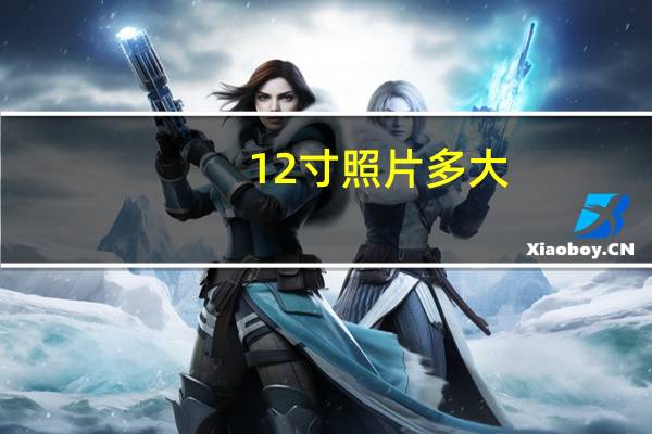 12寸照片多大