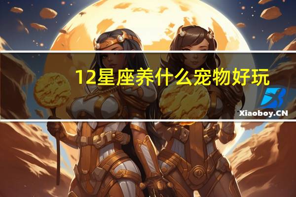 12星座养什么宠物好玩