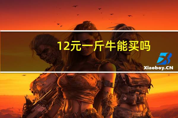12元一斤牛能买吗