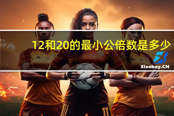 12和20的最小公倍数是多少