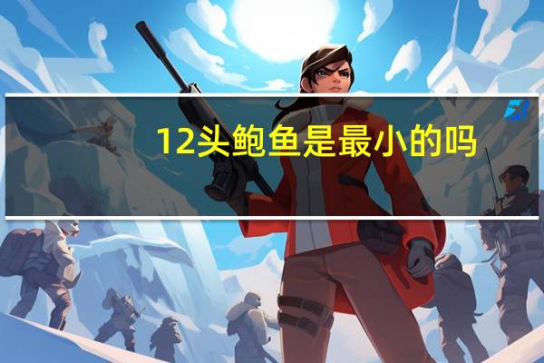 12头鲍鱼是最小的吗