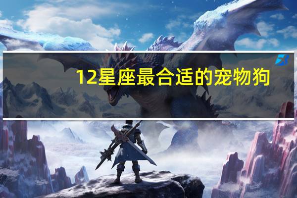 12星座最合适的宠物狗